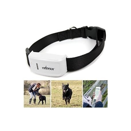 Collar adiestramiento Weenect localizador GPS perro 4G/2G - Animal